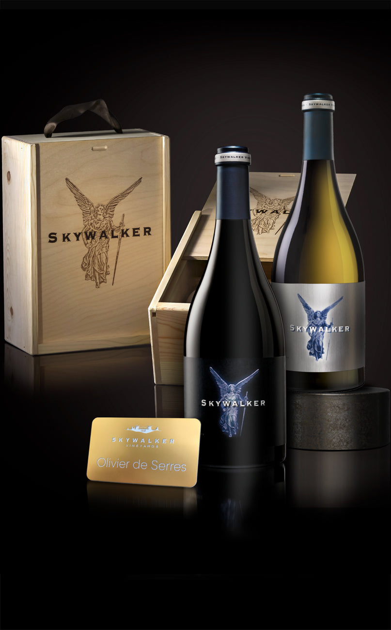 Skywalker Signature Set