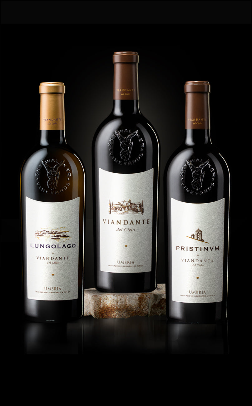 Viandante Trio
