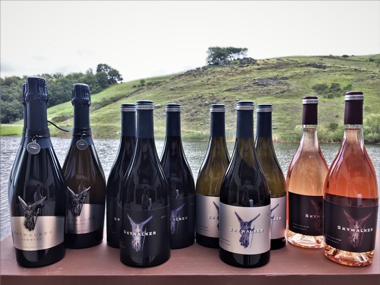 Skywalker 12-Bottle Collection
