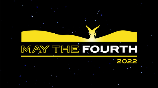 May the Fourth Il Convento Sul Trasimeno Olive Oil Can