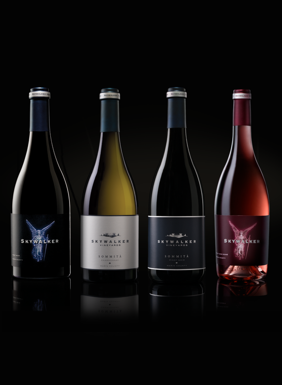 Skywalker & Sommita Sampler Case