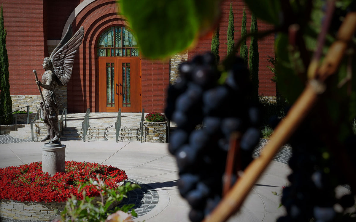 Skywalker Vineyards winery entrance featuring a bronze winged angel statue surrounded by red flowers, an arched brick doorway with stained glass, and dark wine grapes in the foreground.